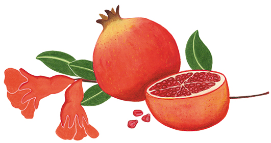 pia taccone fruits et legumes melograno